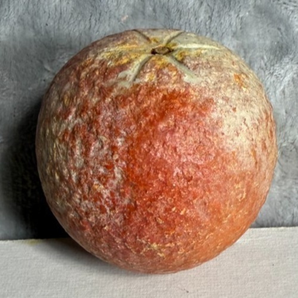 Antique Italian Carved Stone Alabaster Lifelike Decorative Fruit - Orange
